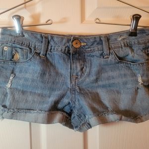 USPA Distressed Jean Shorts 5/6 Polo